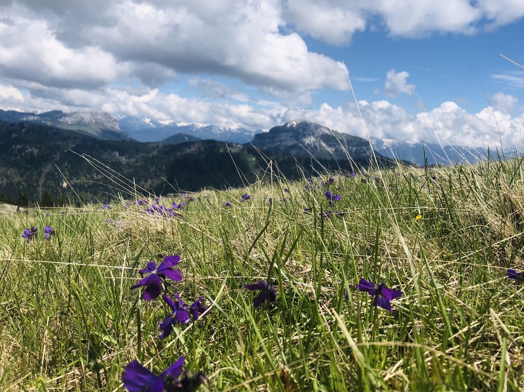 Col D'Hurtières - Chartreuse