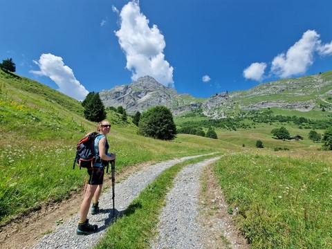 guide montagne AMM AeM randonnée Bauges Vercors Chartreuse Belledonne
